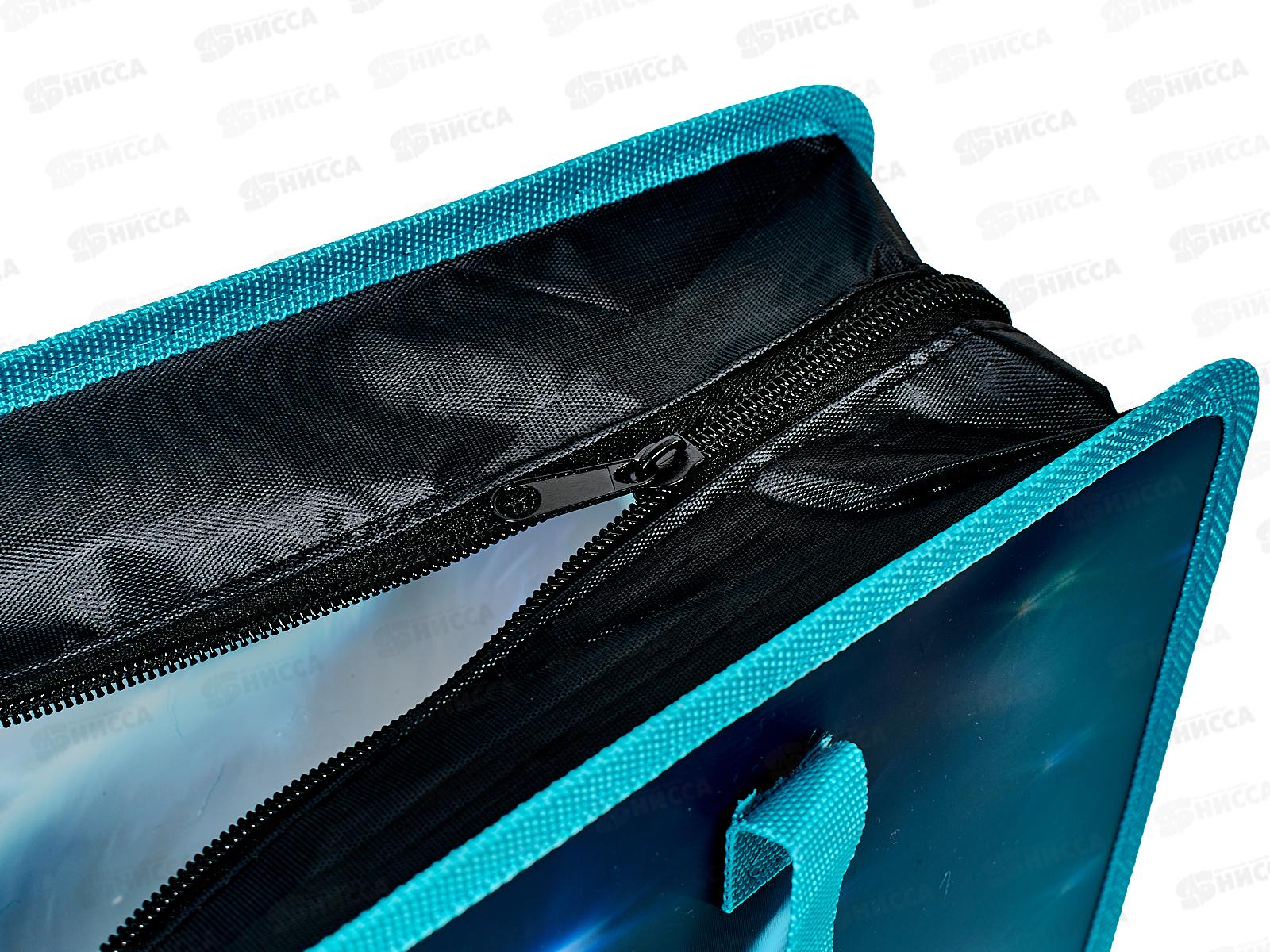 Папка д/тетр. deVente Black Cat Изо и технологии., А4 пластик 8054472