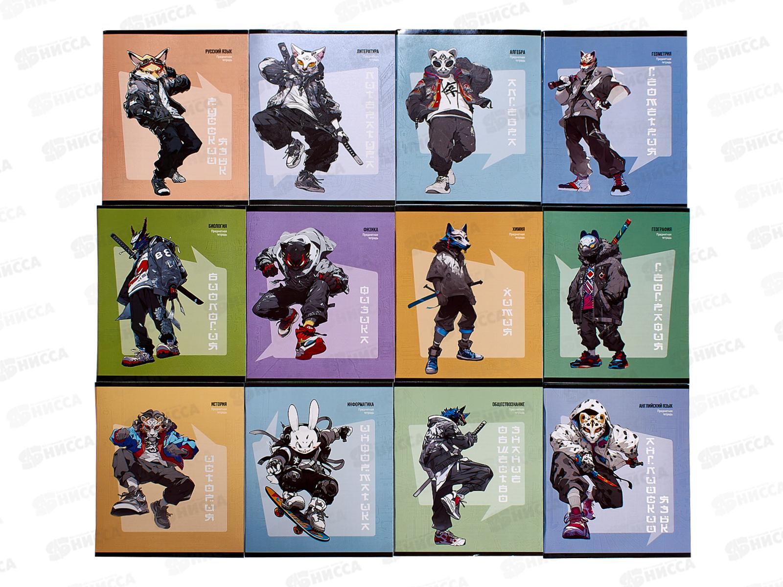 Набор тетрадей 48листов ПП 12 предметов, &quotМАНГА&quot, Т48-1593 *8