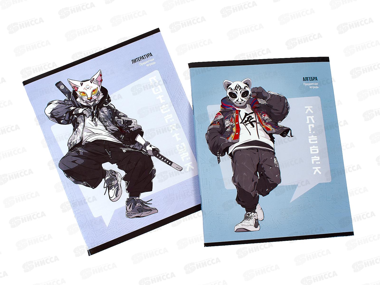 Набор тетрадей 48листов ПП 12 предметов, &quotМАНГА&quot, Т48-1593 *8