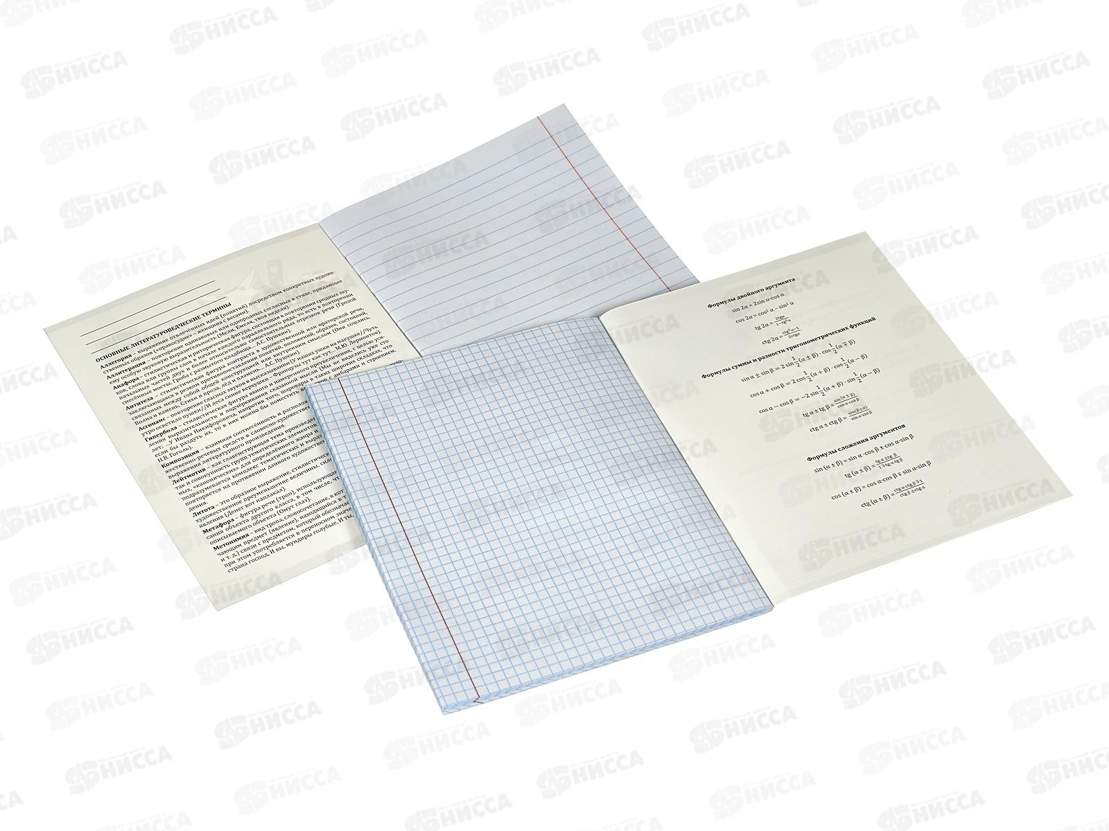 Набор тетрадей 48листов ПП 12 предметов, &quotМАНГА&quot, Т48-1593 *8