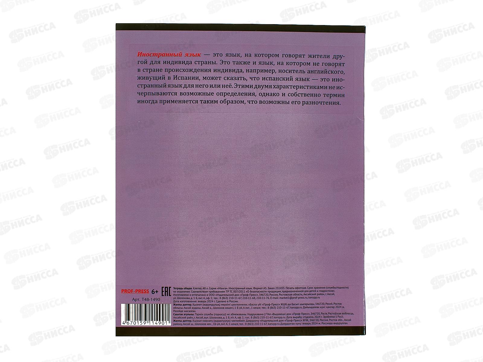 Тетрадь 48листов клетка ПП &quotМАНГА&quot Иностранный язык, Т48-1490 *10/80