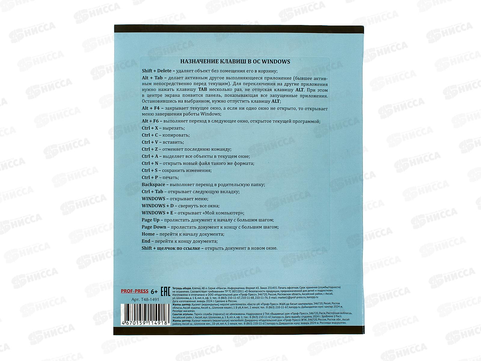 Тетрадь 48листов клетка ПП &quotМАНГА&quot Информатика, Т48-1491 *10/80