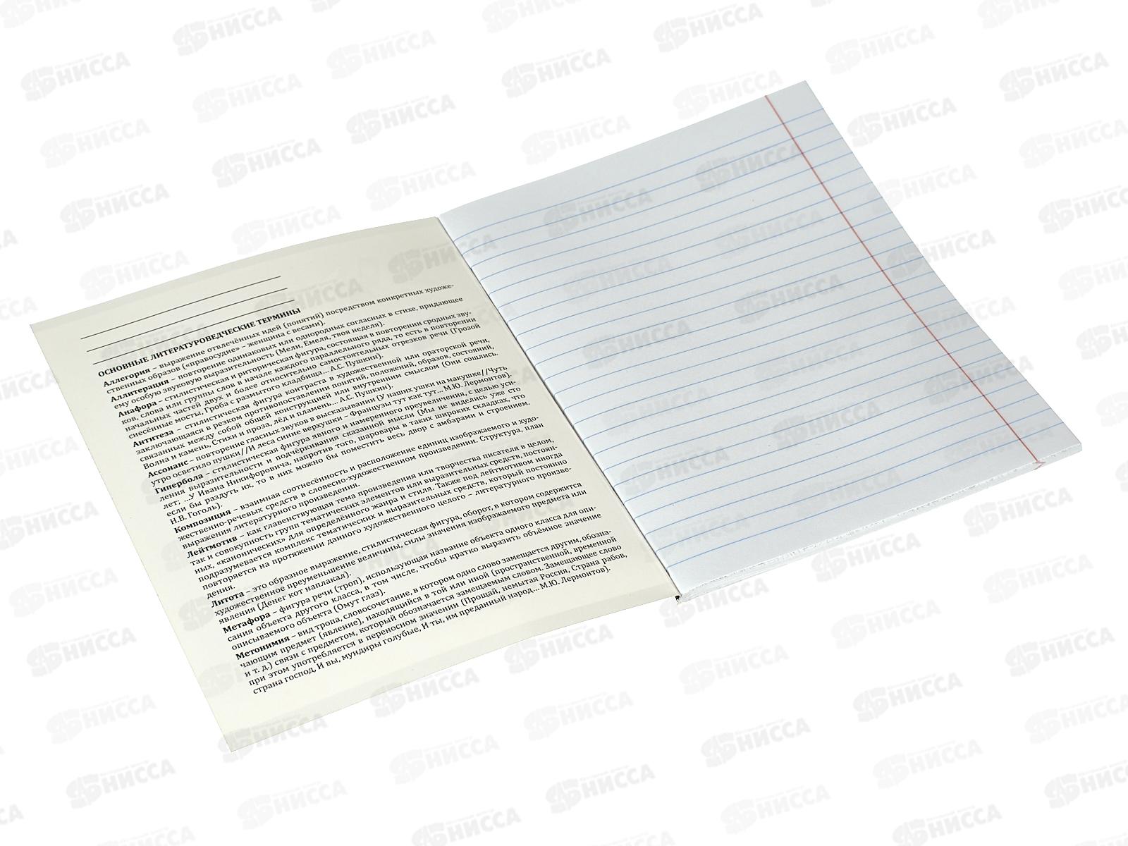 Тетрадь 48л лин. ПП &quotМАНГА&quot Литература, Т48-1499 *10/80