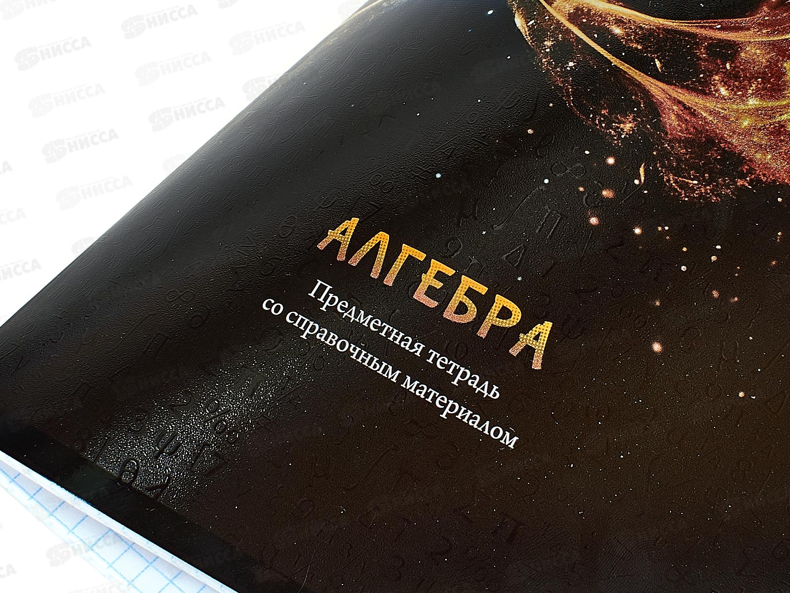 Тетрадь 48л кл. ПП &quotМАГИЯ ПРЕДМЕТА&quot Алгебра, Т48-1501 *10/80