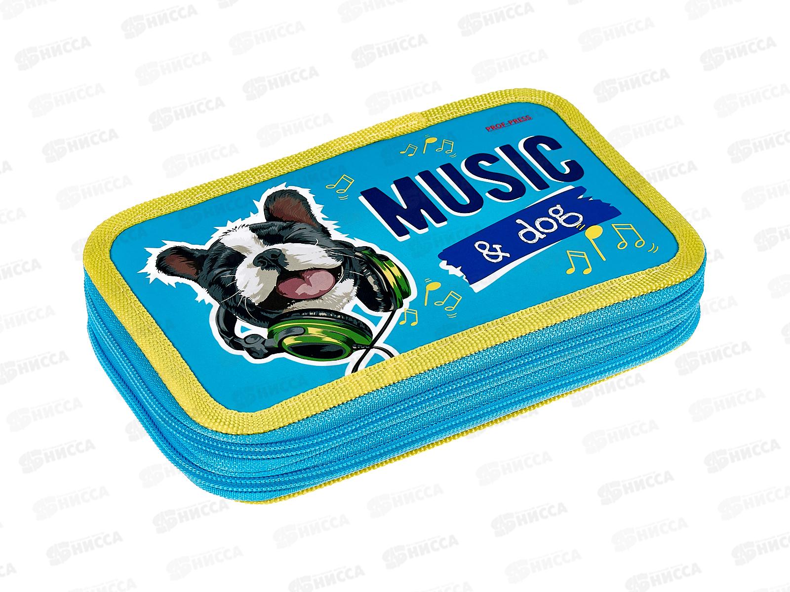 Пенал 2-секц ПП большой Щеночек с наушниками, 190х115, ПН-1362 *32