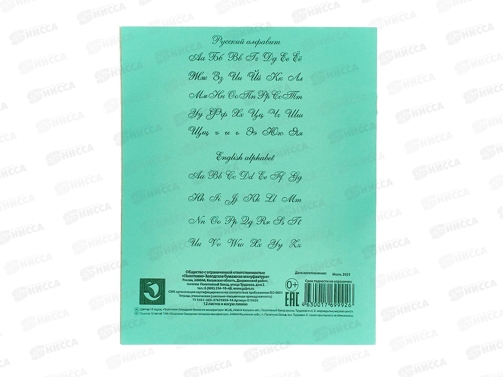 Тетрадь 12листов в косую линию ПЗБМ 019926*300