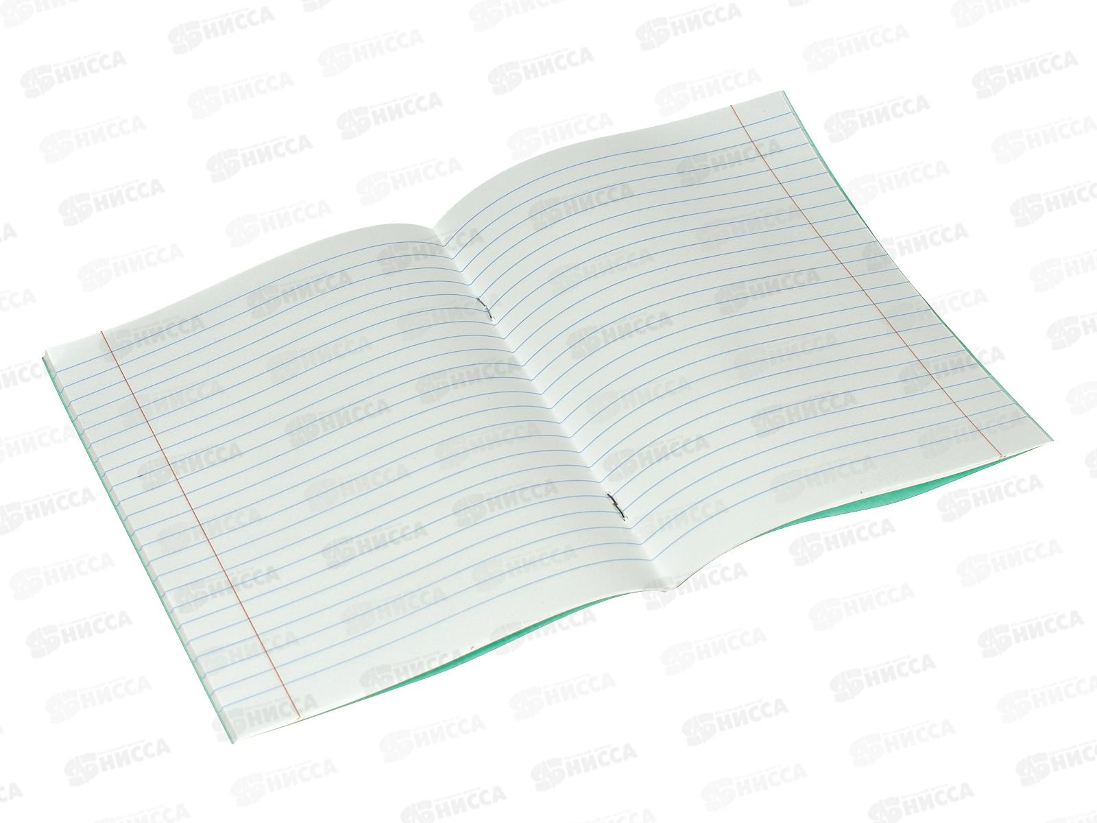 Тетрадь 18листов линия BG 57429*160