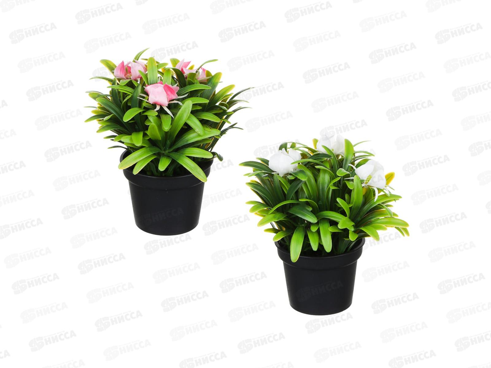 Композиция в горшке Зелень с цветами 14см 501-569 г