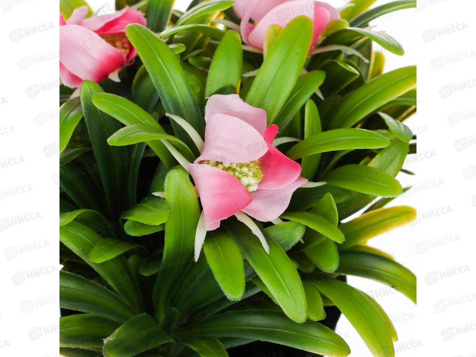 Композиция в горшке Зелень с цветами 14см 501-569 г