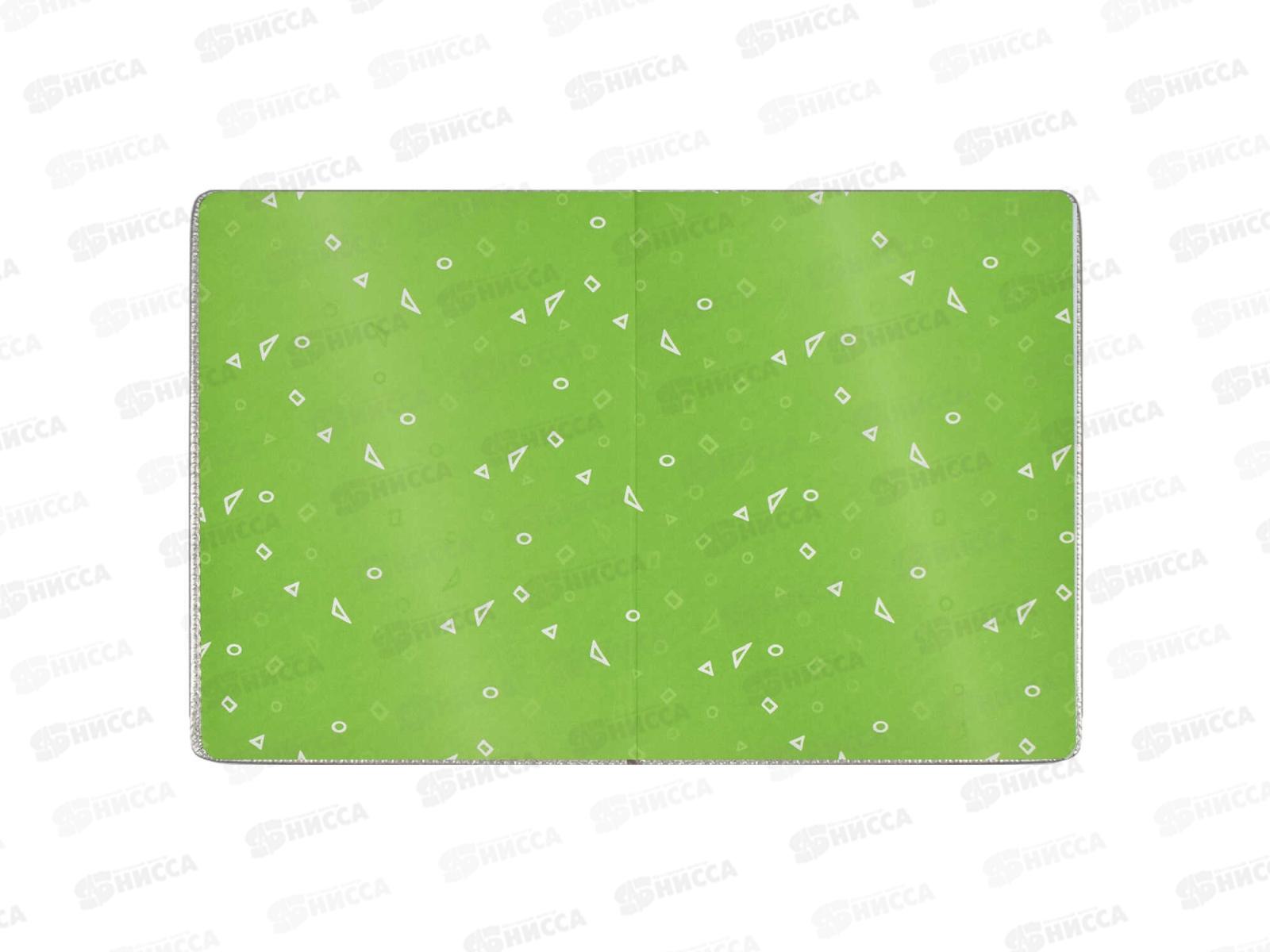 Дневник ФЕН +ручка в компл. Лимон тв.обл.,66379*30