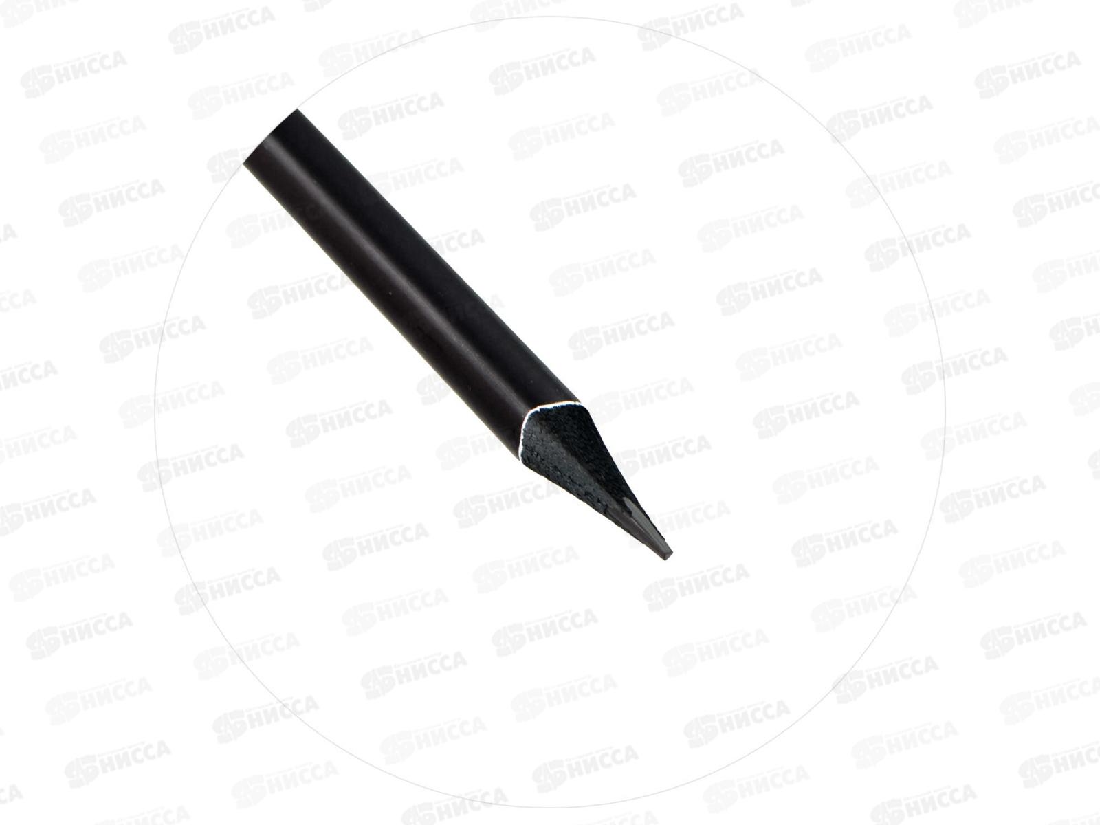 Карандаш чернографитный ФЕН Фразы с характером  HB 63681*36