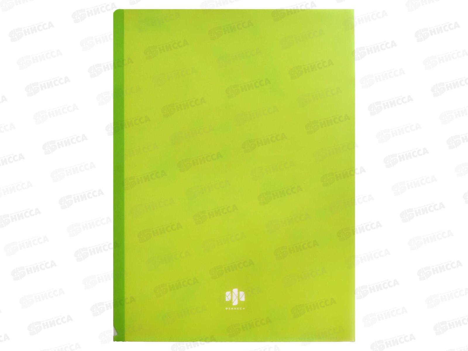 Папка-уголок ФЕН Драконий фрукт,65854*12