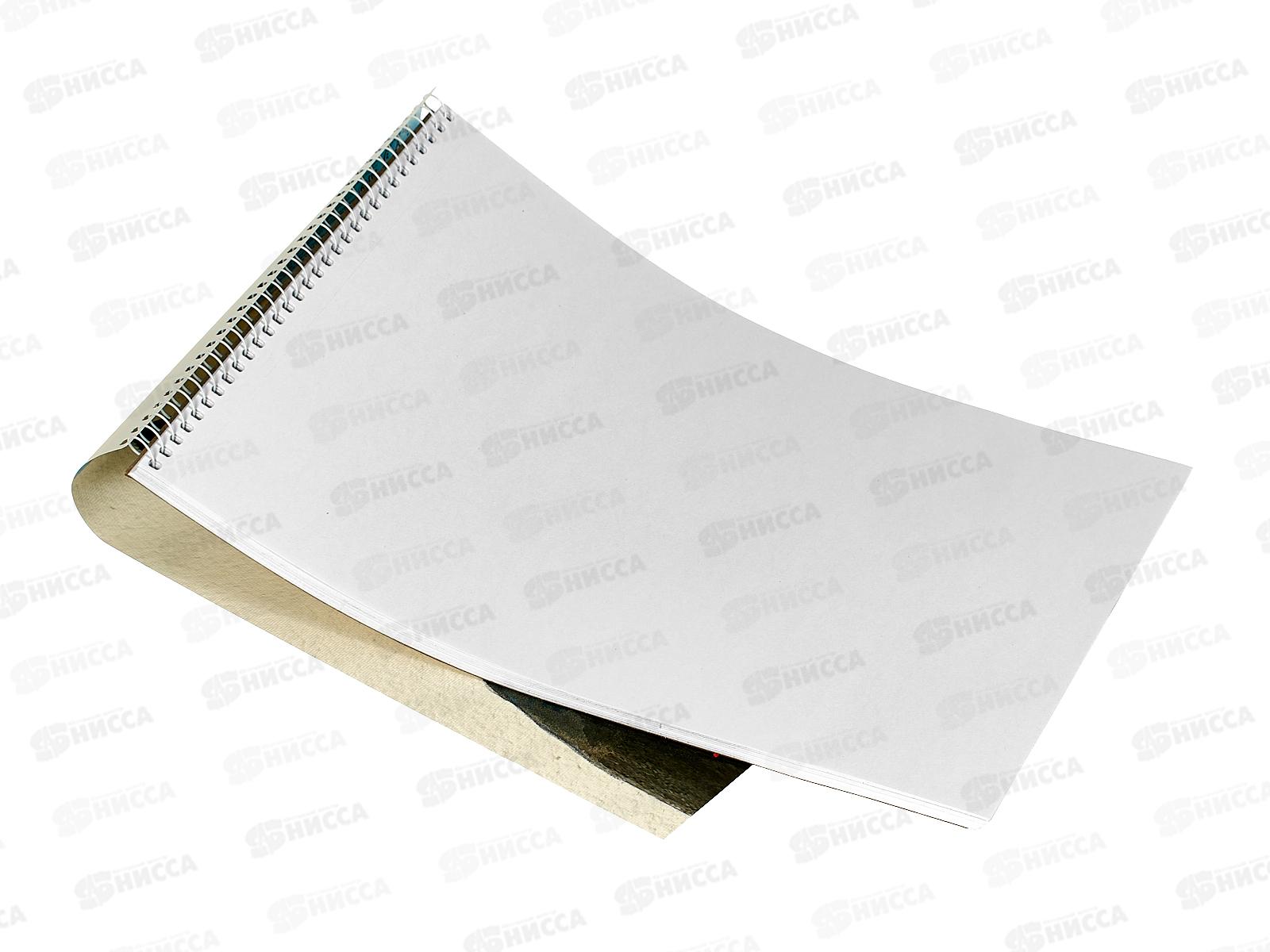 Альбом для рисования 40л Hatber Глазки,ушки,носик,079780 *7/32