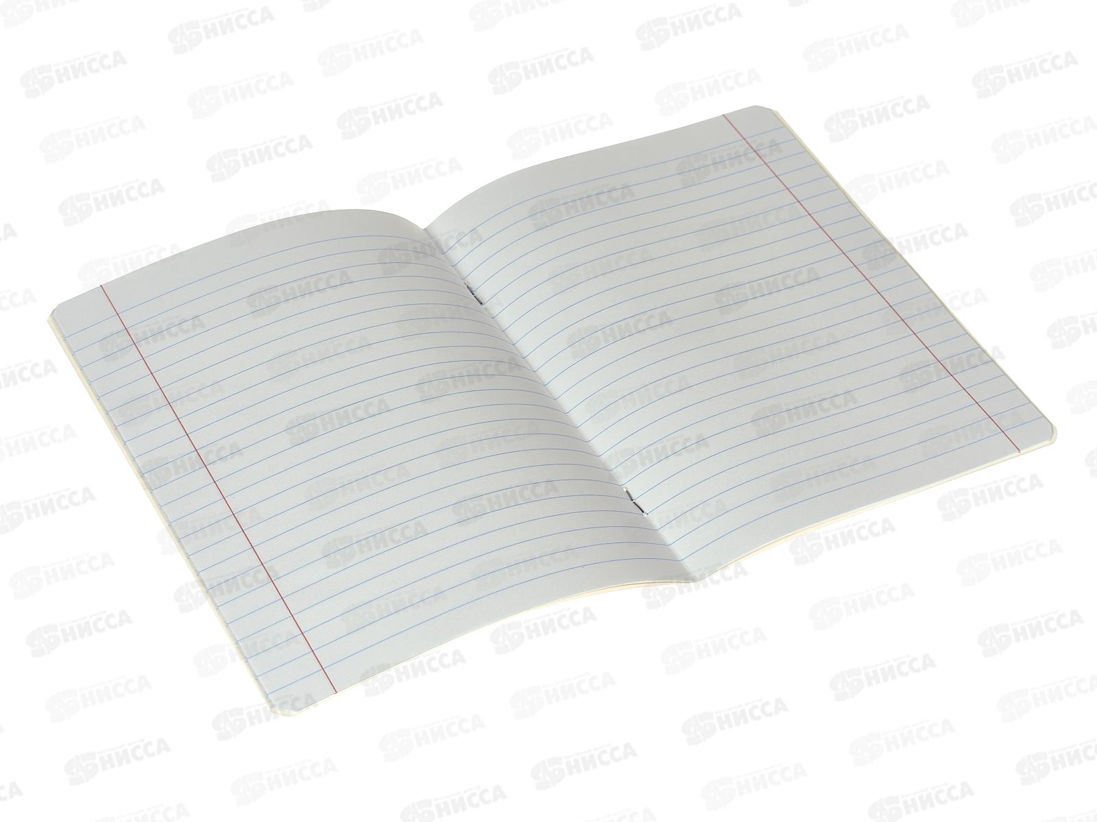 Тетрадь 12листов линия Hatber Котаны 086150 *10/140