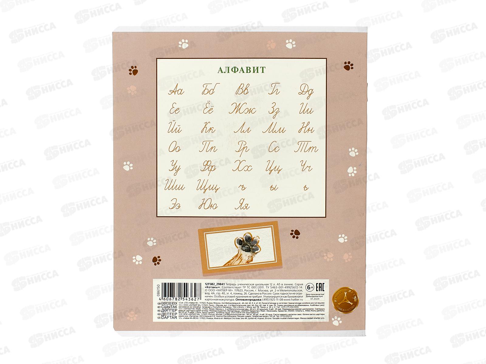 Тетрадь 12листов линия Hatber Котаны 086150 *10/140