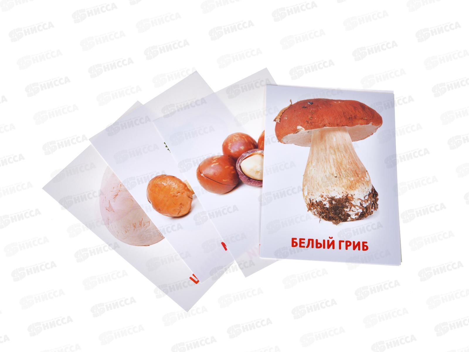 Карточки развивающие &quotГрибы и орехи&quot 8 карт 9570008