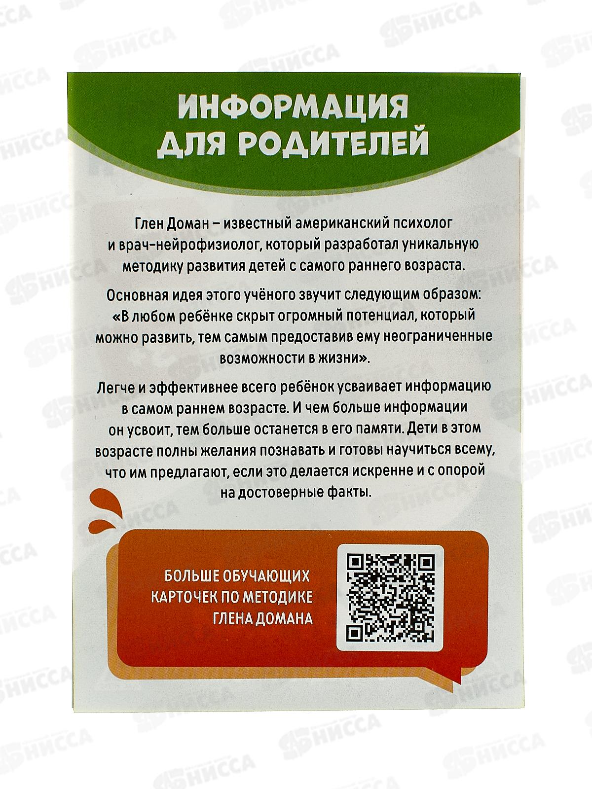 Карточки развивающие &quotГрибы и орехи&quot 8 карт 9570008