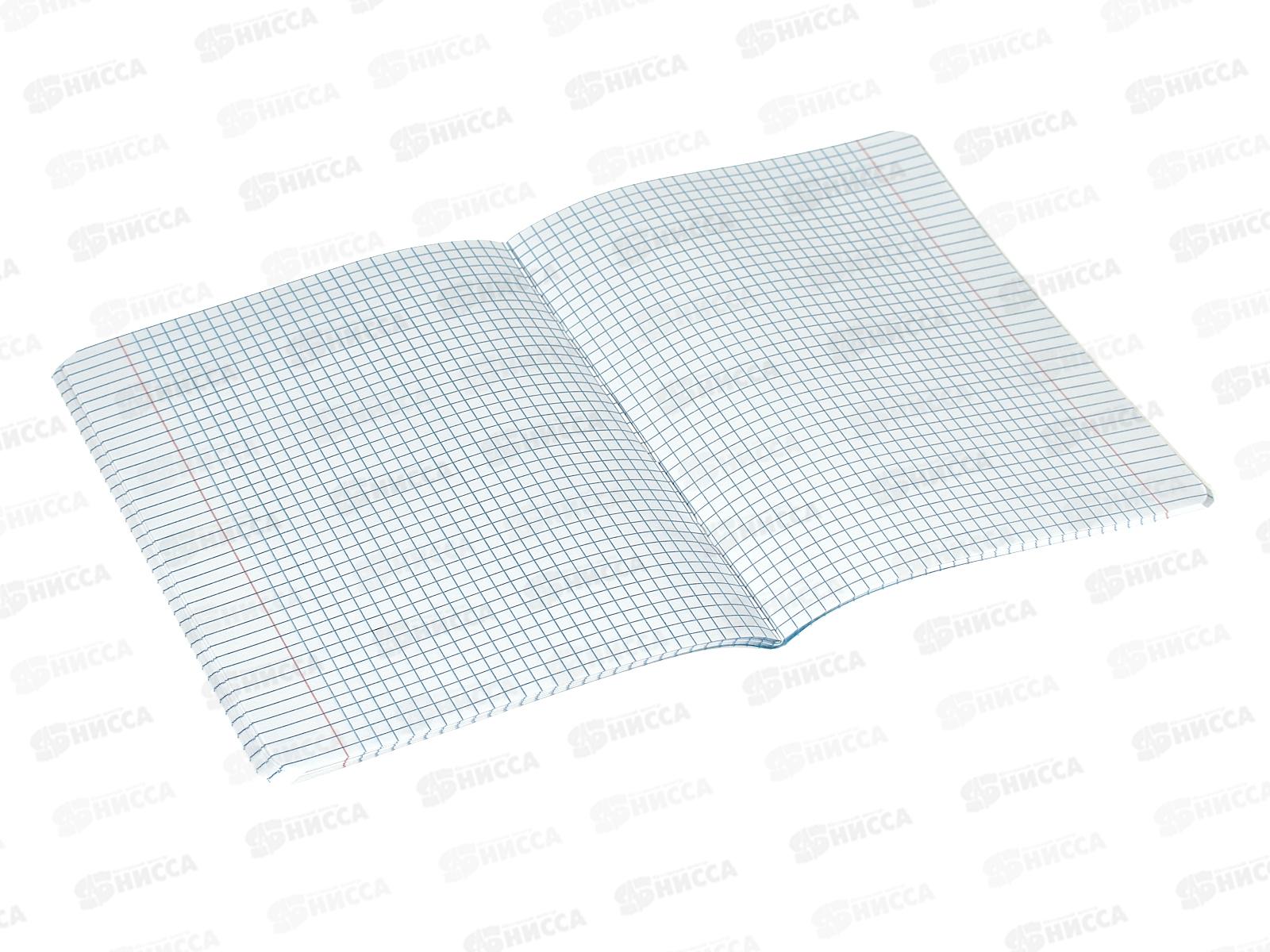 Тетрадь 48листов клетка. АКАД Кошачья жизнь пластик. обл  EAC-14157/4 *20/60