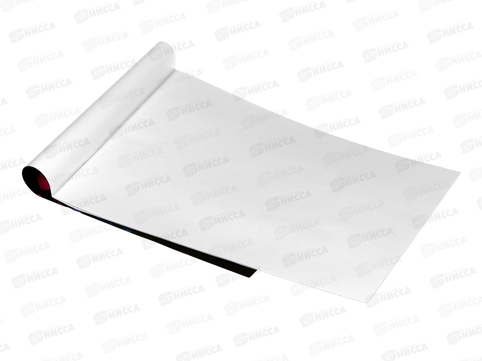 Альбом для рисования 12л ПГС Джостик, А4, скрепка *20