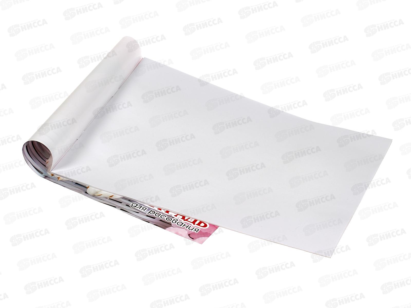 Альбом для рисования 12л ПГС Дом,питомцы, А4, скрепка *20