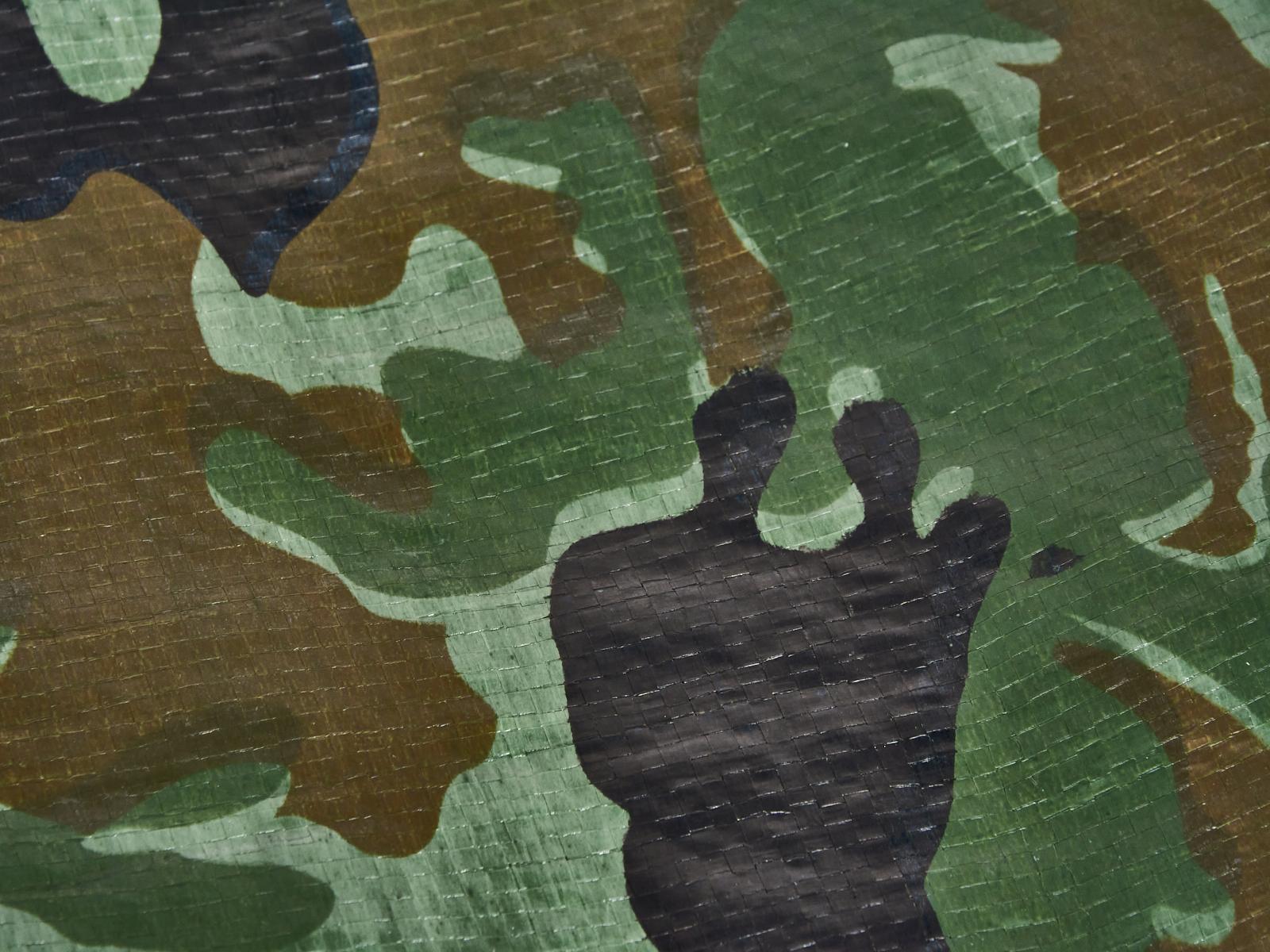 Тент ПВХ 5*8м с люверсами гидроизоляция двустроняя пленка *2/6