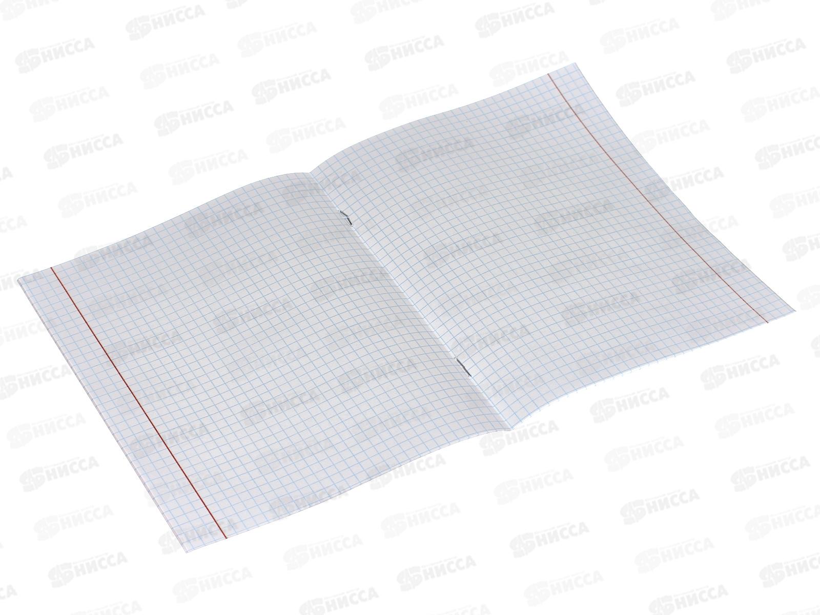 Тетрадь 12листов клетка Profit Микс для девочек, 5дизайнов, 12-2736 *25/250