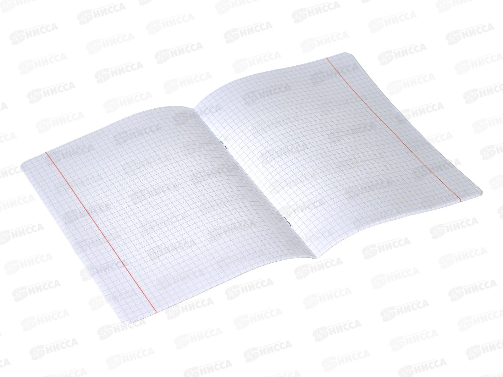 Тетрадь 24листа клетка BG Первая пятерка.,12305*10/120