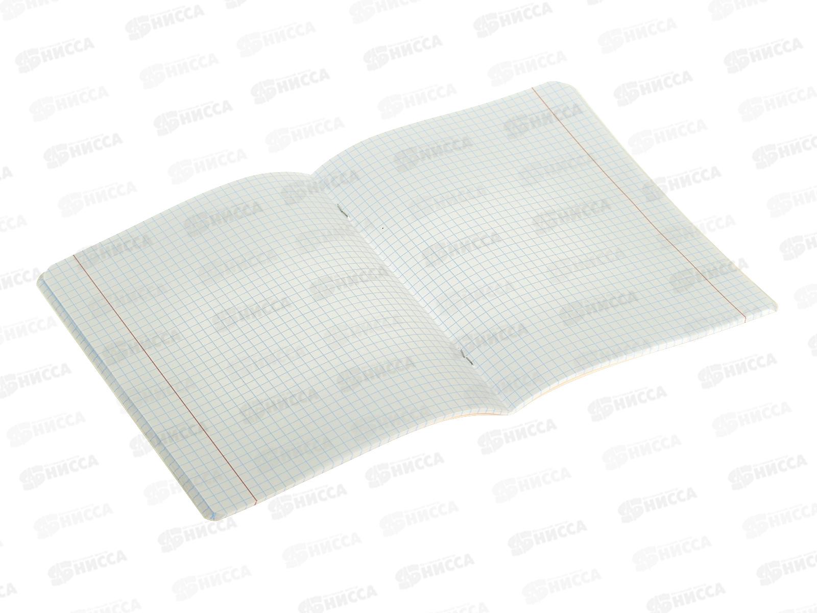 Тетрадь 48листов клетка  BG Звезды в небе,59347*5/60