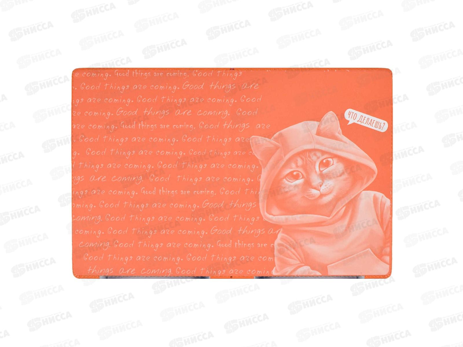 Дневник ФЕН Кот,66403*36