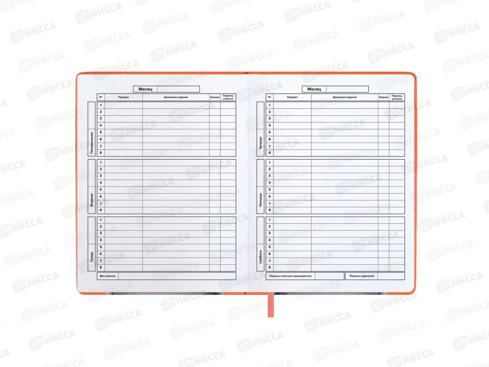 Дневник ФЕН Кот,66403*36