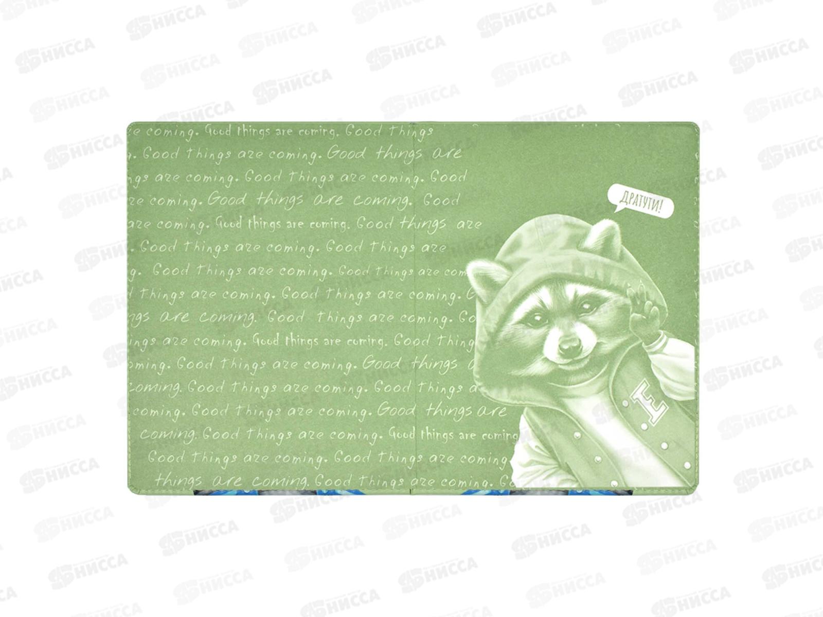 Дневник ФЕН Енот,66404*36