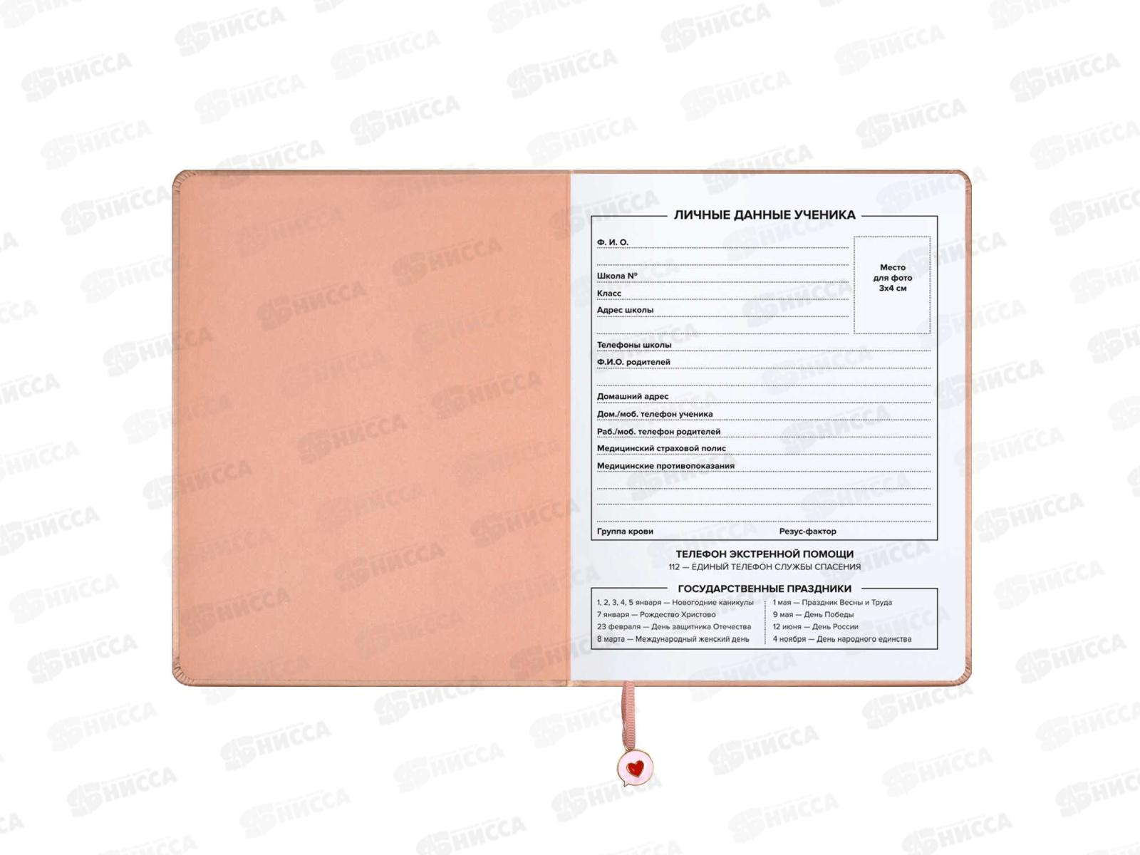 Дневник ФЕН Паттерн,66439*36