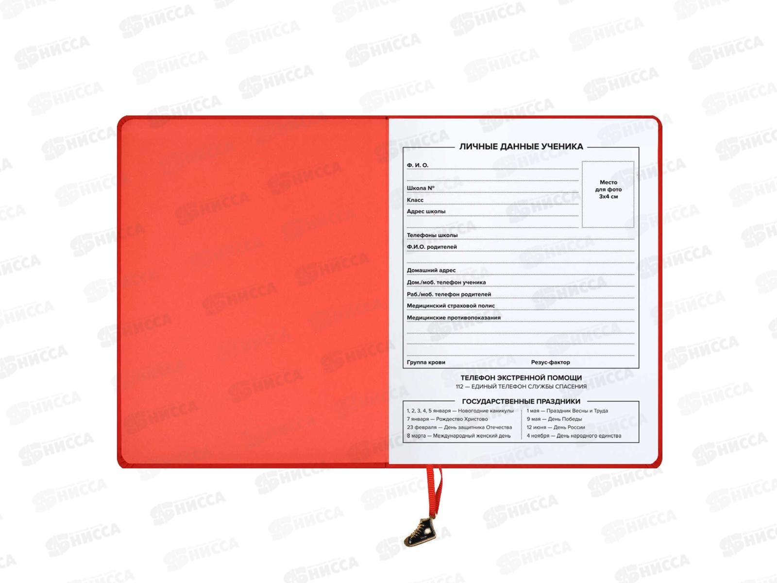 Дневник ФЕН Паттерн,66440*36