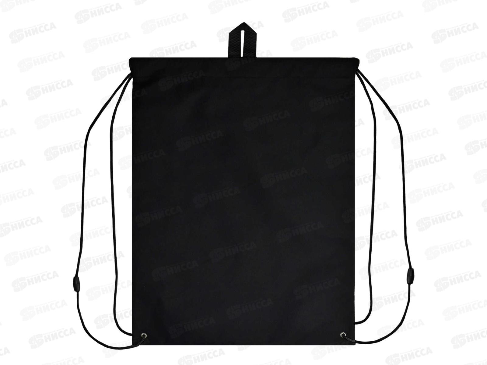 Мешок д/обуви ФЕН Монстр-трак,48*36см,66180*12