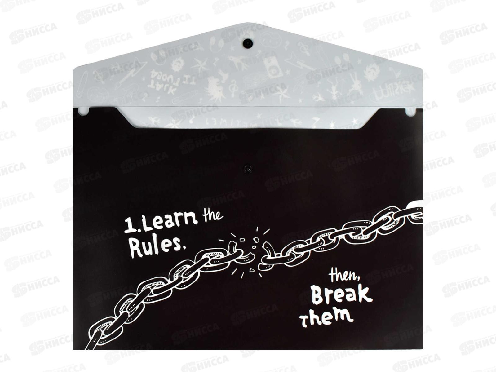 Папка  для тетрадей ФЕН А4 Панк 2, пластиковая, 66326*12