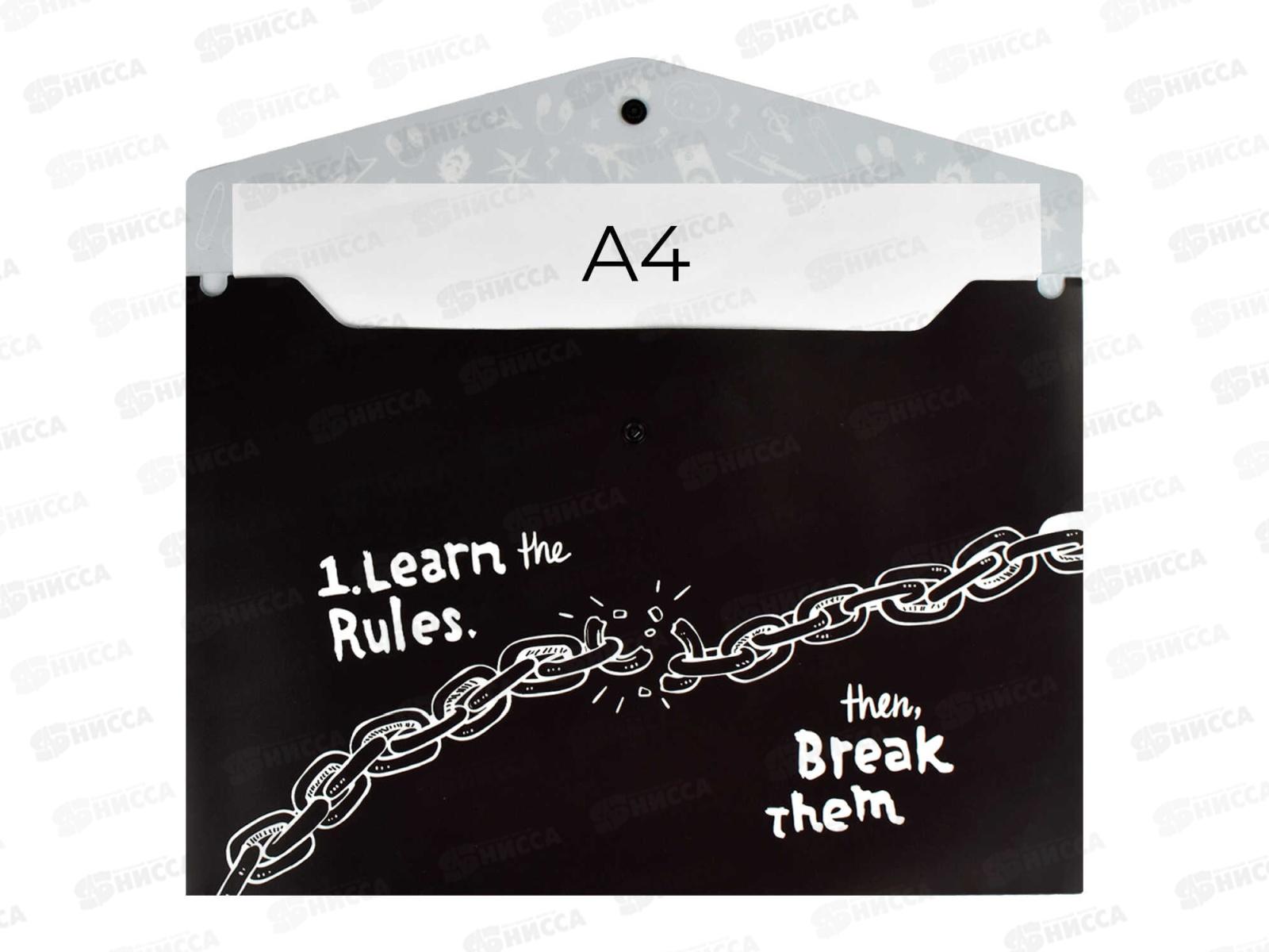 Папка  для тетрадей ФЕН А4 Панк 2, пластиковая, 66326*12