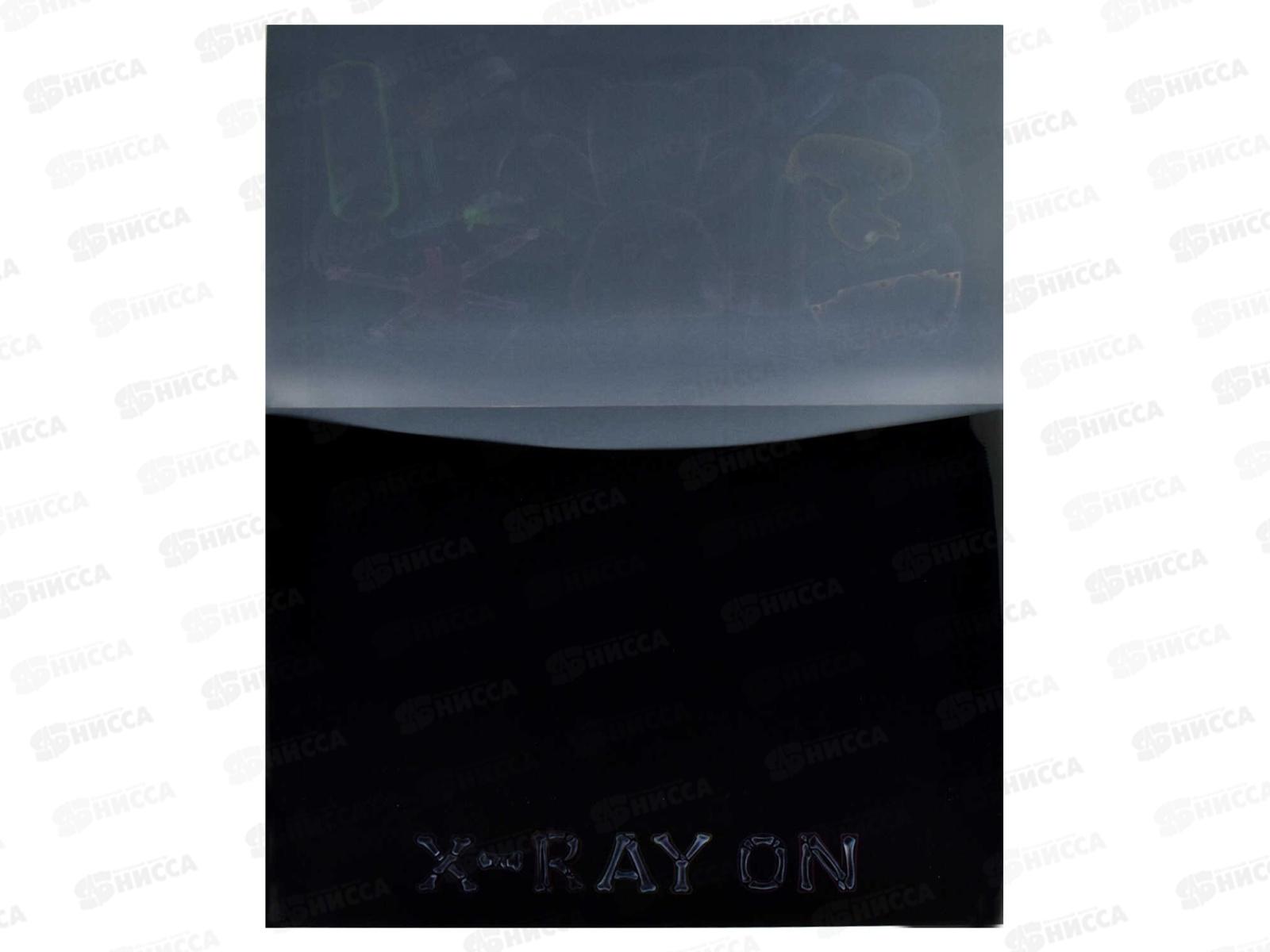 Папка  для тетрадей ФЕН А4 Рентген, пластиковый, 66331*12