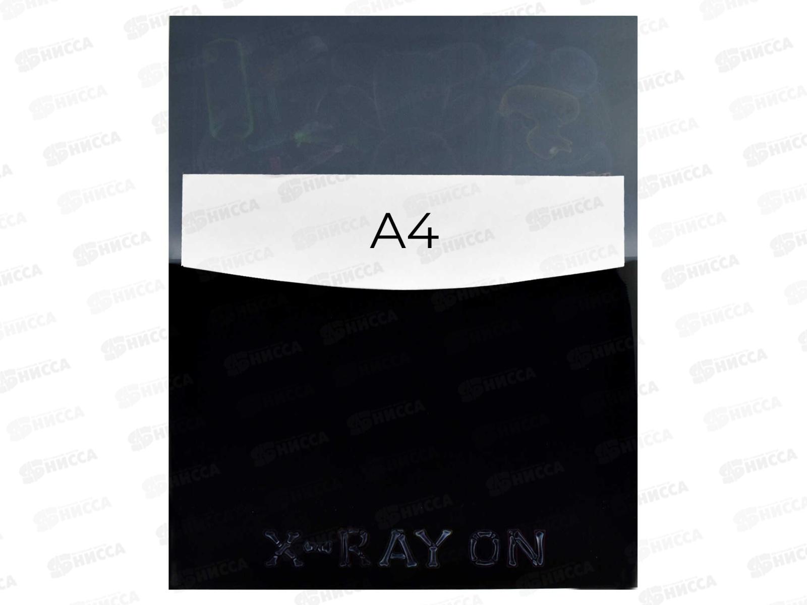 Папка  для тетрадей ФЕН А4 Рентген, пластиковый, 66331*12