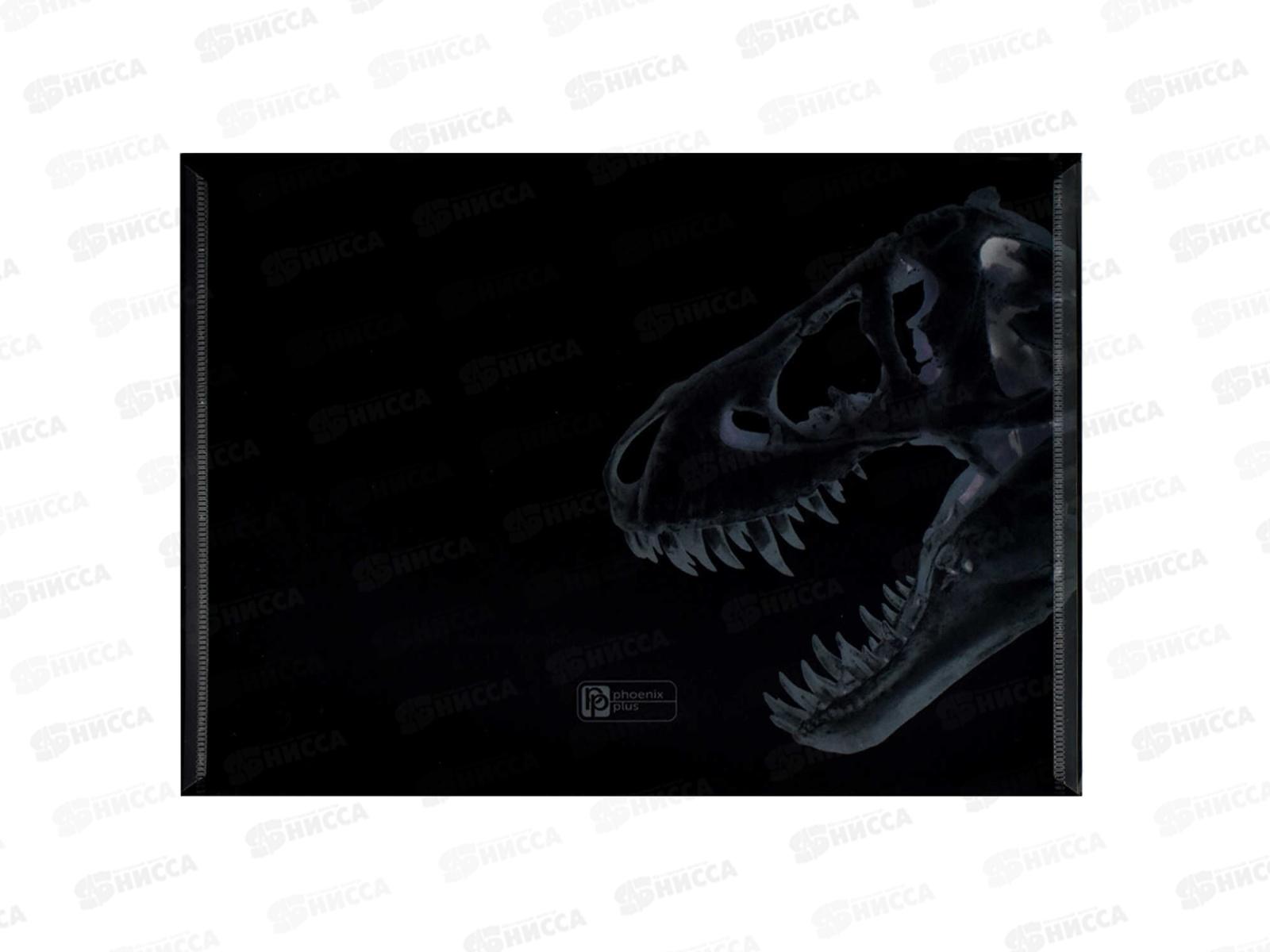 Папка  для тетрадей ФЕН А4 Рентген, пластиковый, 66331*12