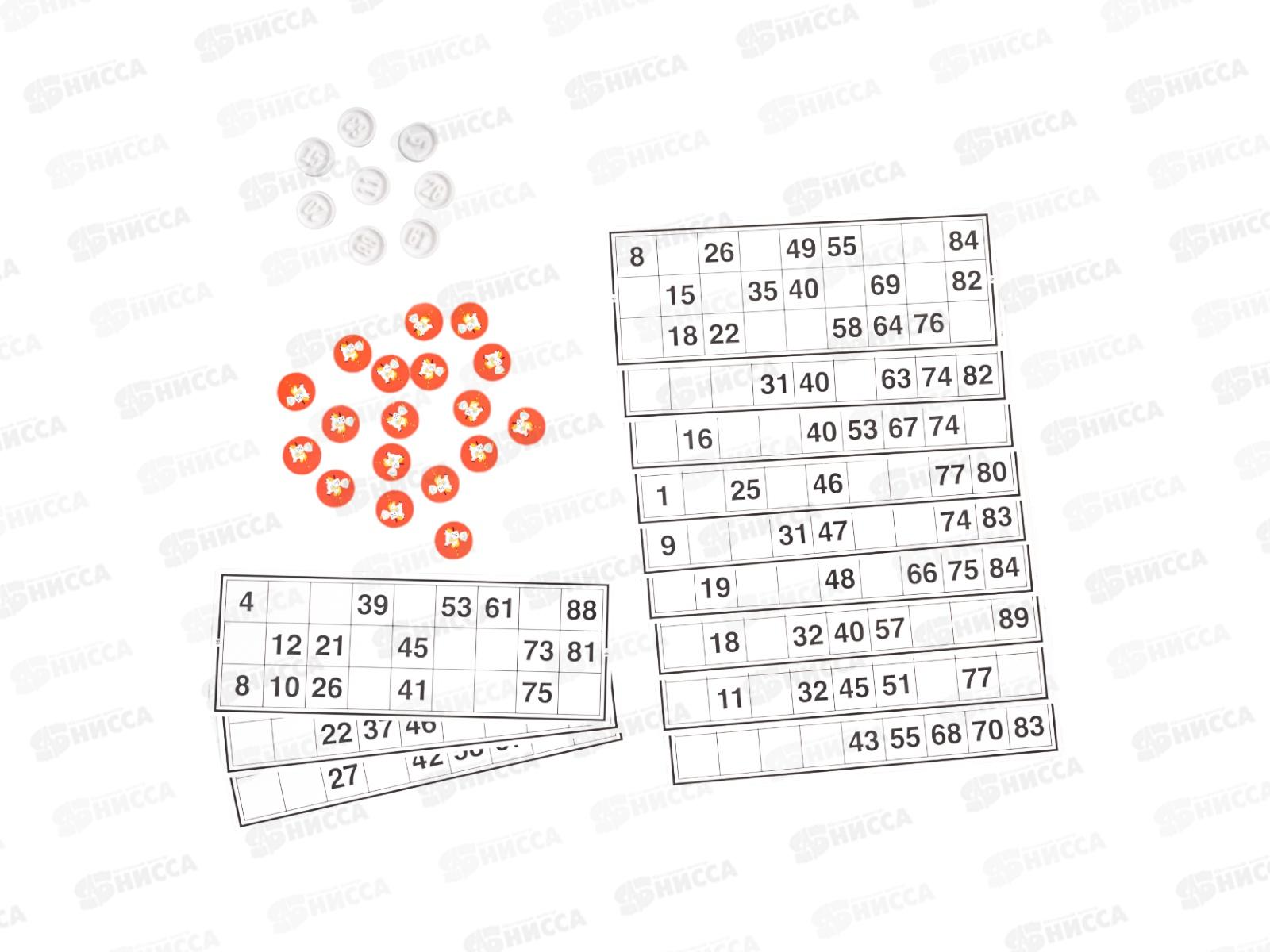 Лото (с пластиковыми жетонами) 05331