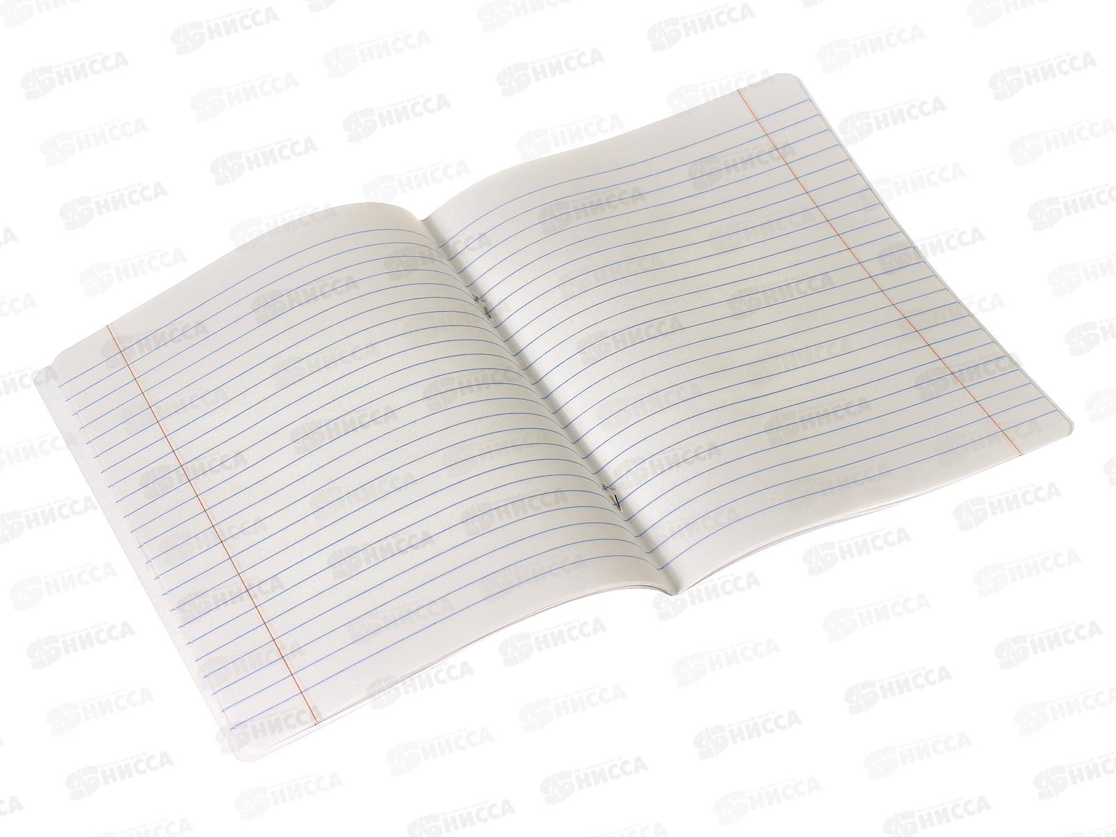 Тетрадь 12листов линия BG Первая пятерка 12301*10/180