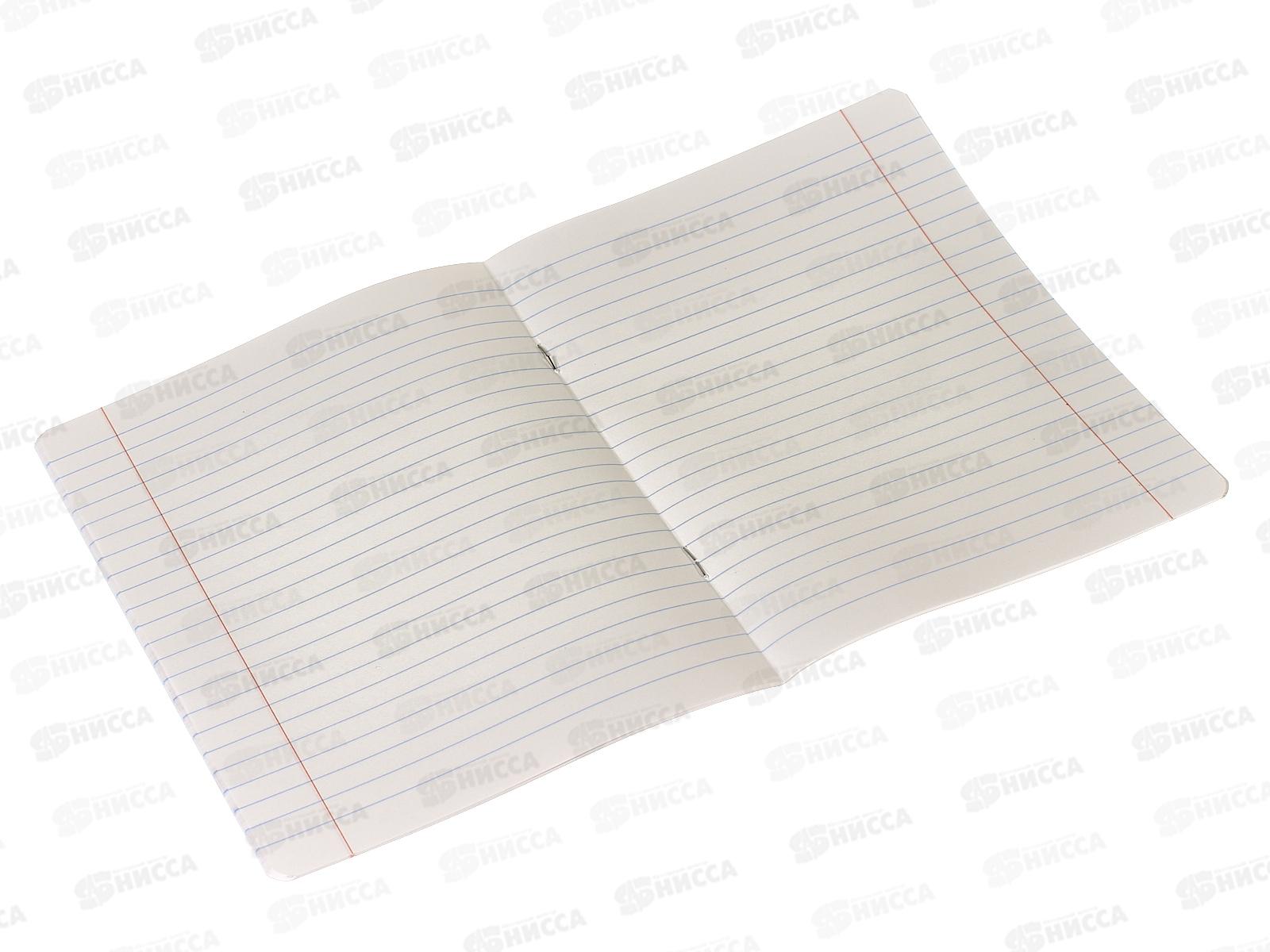 Тетрадь 24листа линия BG Первая пятерка 12306*10/120