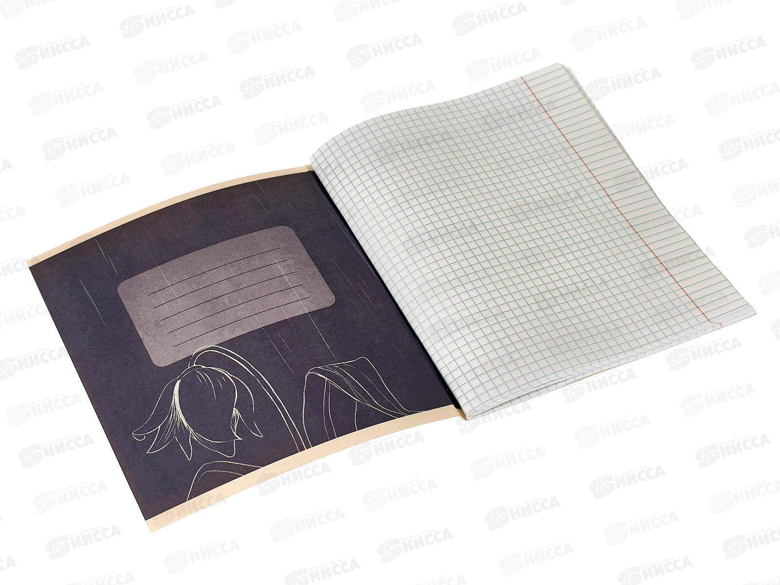 Тетрадь 48листов клетка ЭКСМ  Фантастические девушки, ТК488757 *10/100