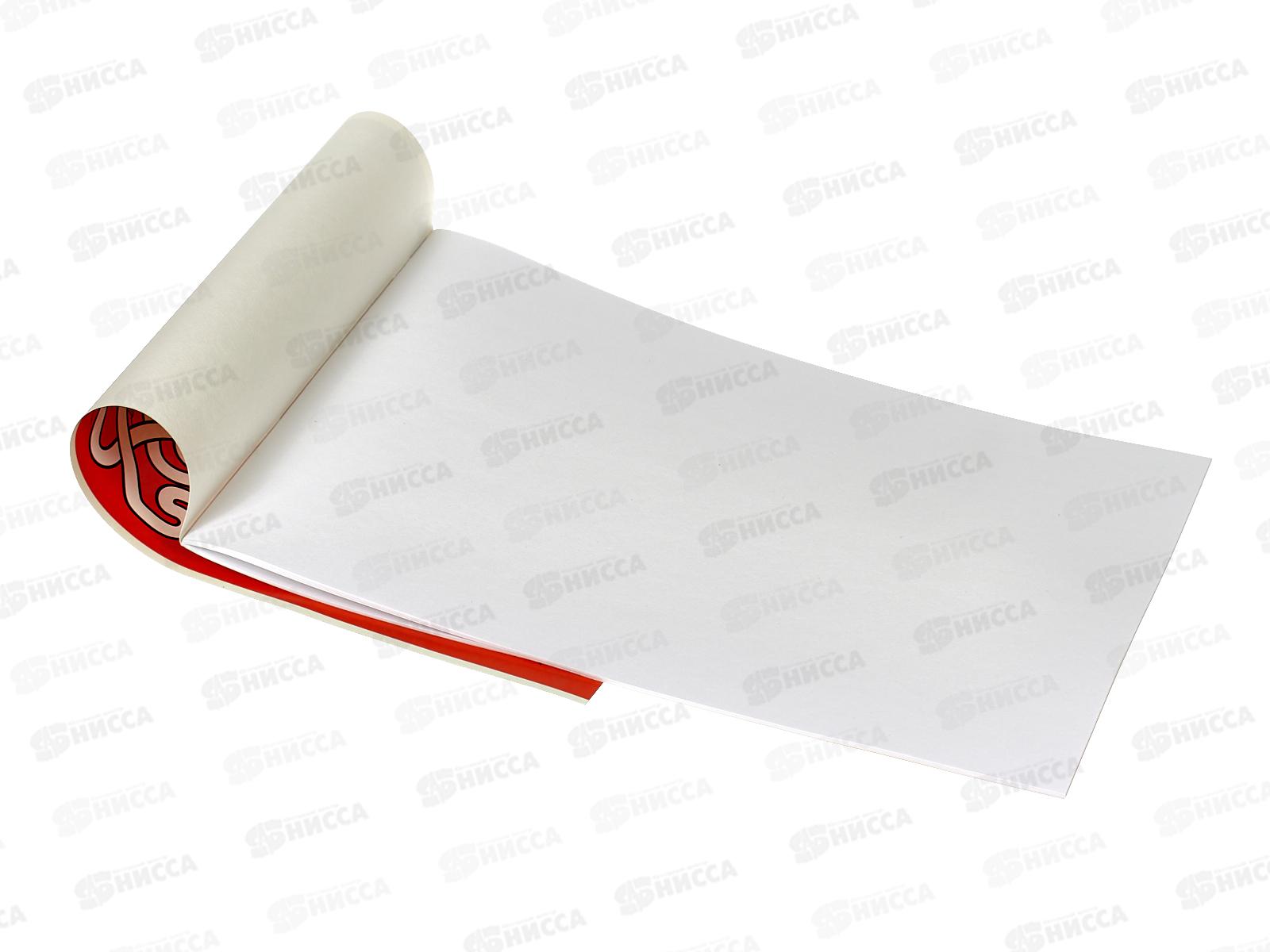 Альбом для рисования 20л ПЗБМ Лабиринт, 049340 *4/48