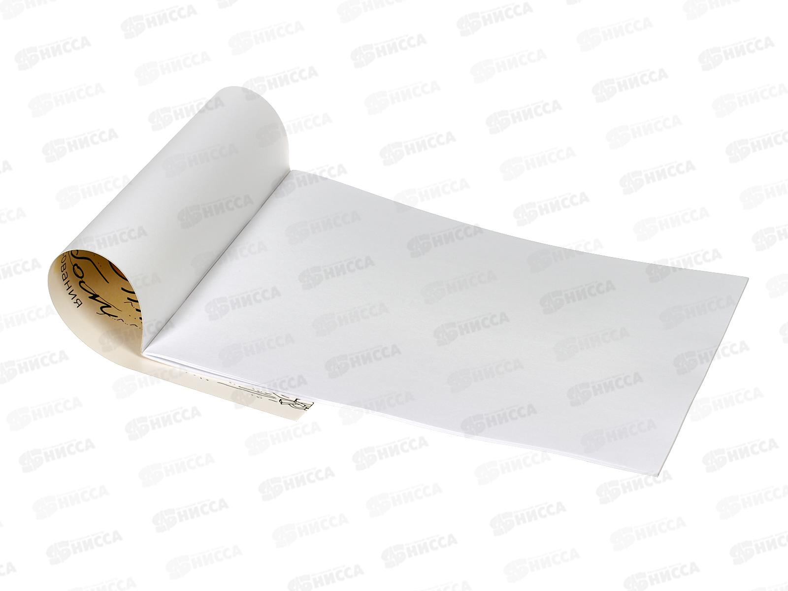 Альбом для рисования 24л ПЗБМ Где я живу?, 049364 *4/48