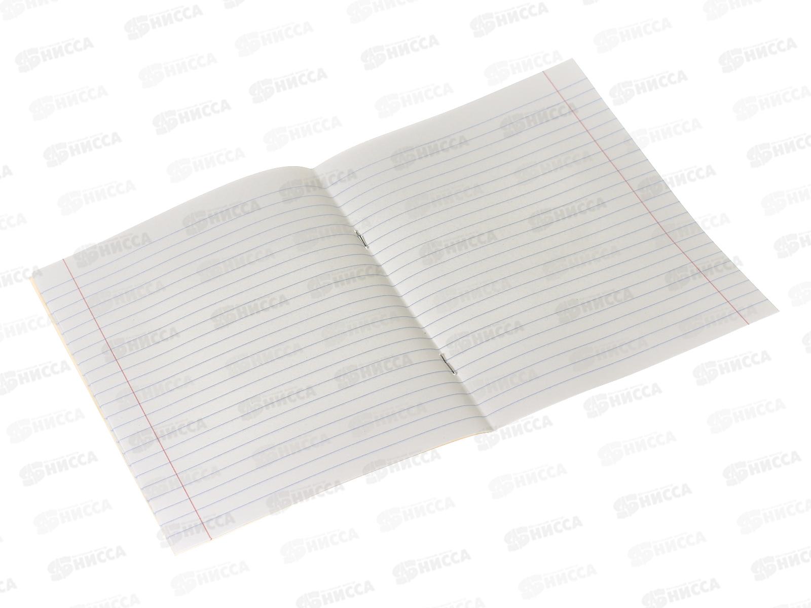 Тетрадь 12листов линия ПЗБМ Цветная с уголком,019888 *20/240