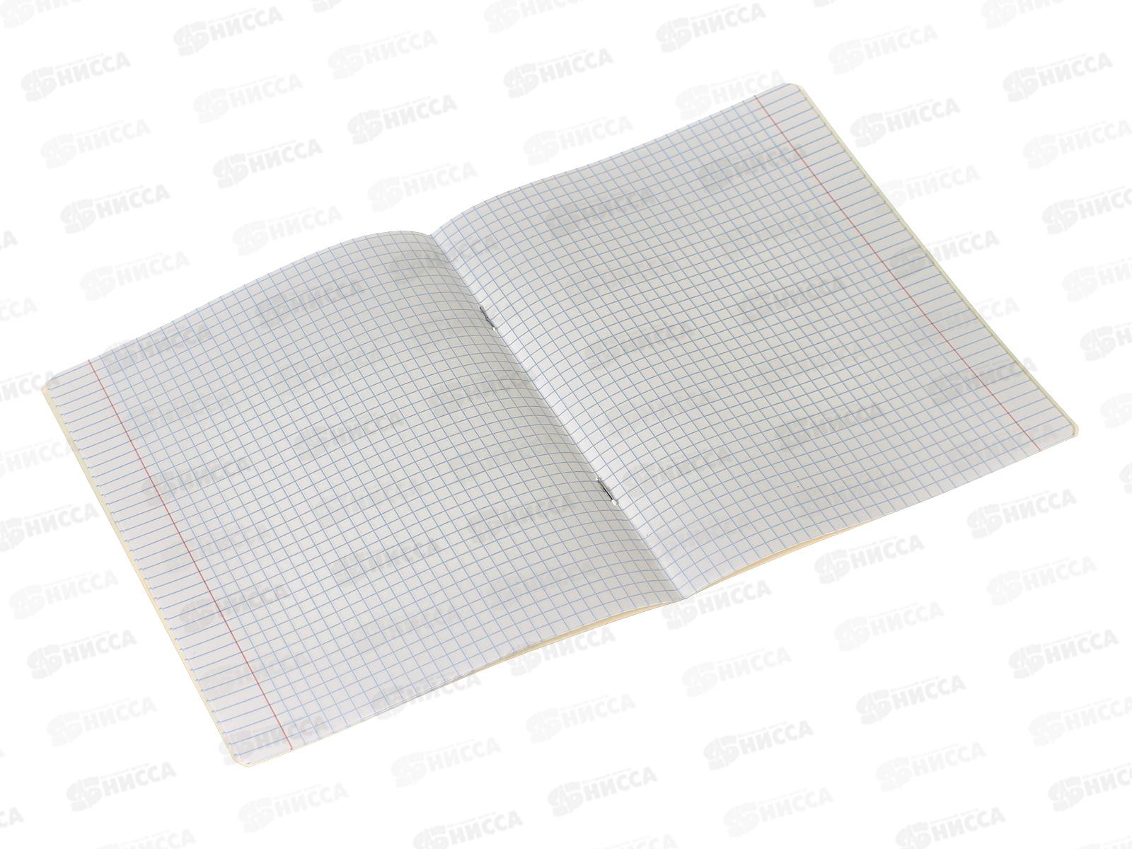 Тетрадь 12листов клетка ПЗБМ Девчули 018504 *20/120