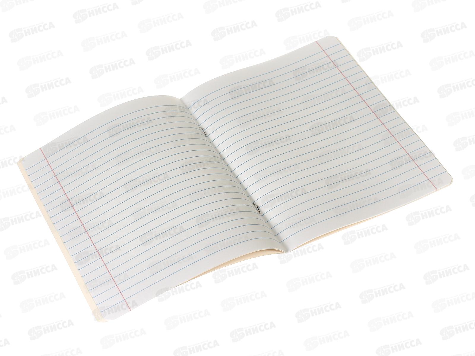 Тетрадь 12листов линия BG MIX-8 Мальчики, 11702 *16/160