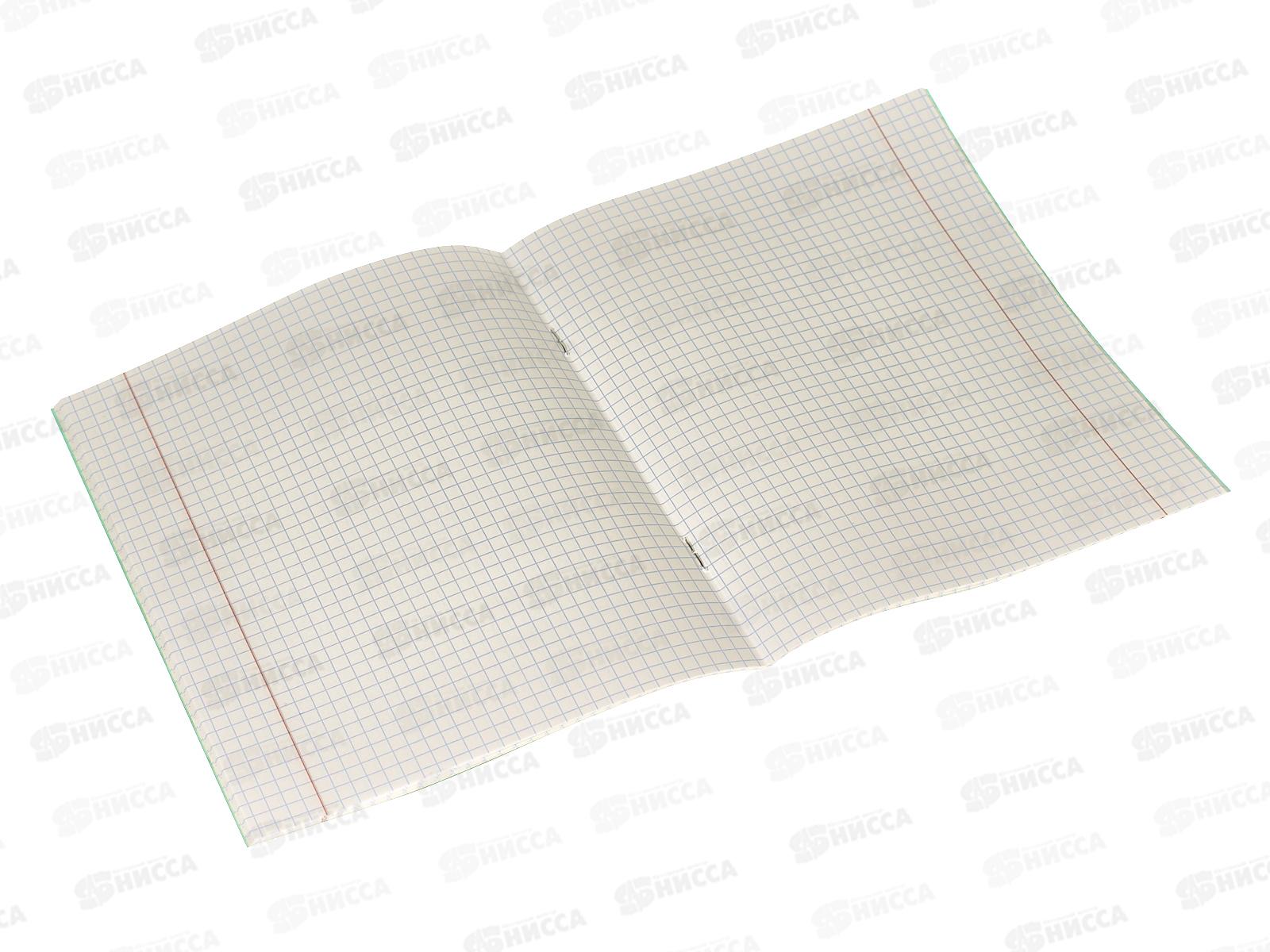 Тетрадь 24листа клетка BG 57430 *120