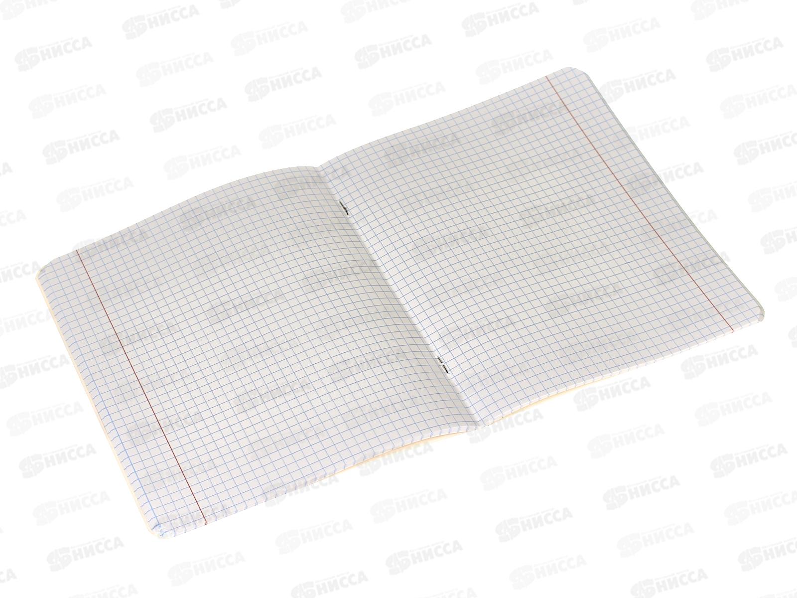 Тетрадь 48листов клетка  BG Аниме. За мечтой. 12235 *4/56